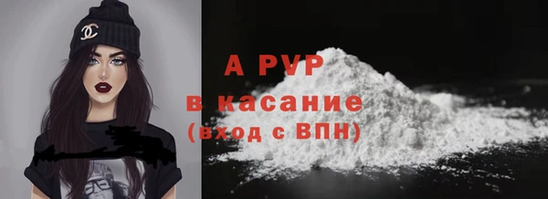 соль ск Гусев