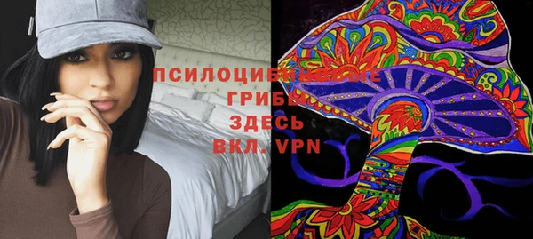 2c-b Гусиноозёрск