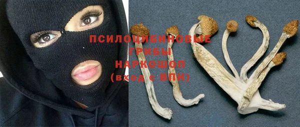 крисы Гусь-Хрустальный